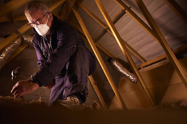 Best Commercial Insulation in North Oaks, MN